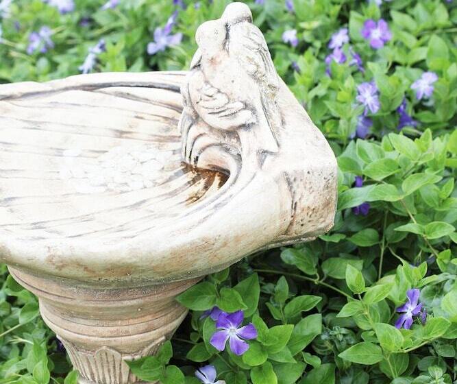 פנסיון Linkside 2