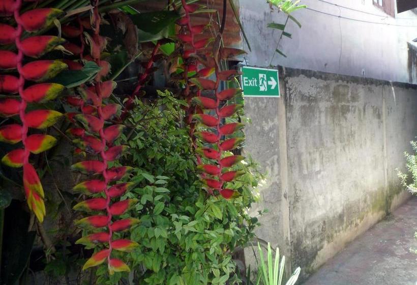 بنسيون Noom Guesthouse