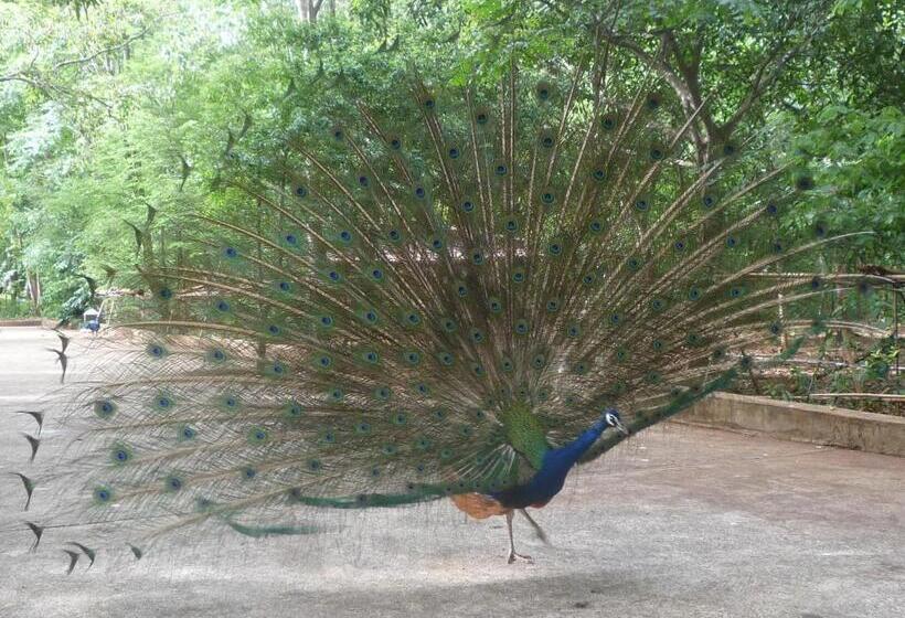 بنسيون Noom Guesthouse