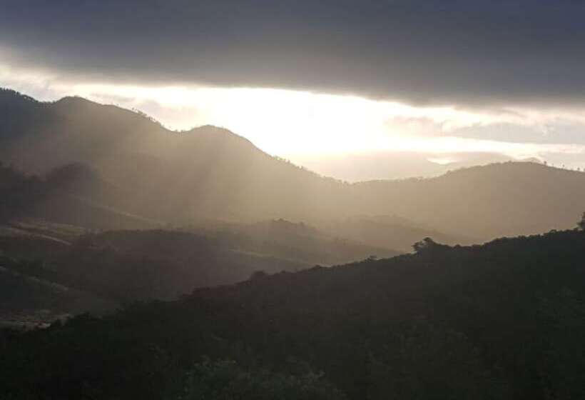 Пансион Roseroc Boutique Guest House