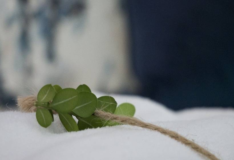 Пансион Roseroc Boutique Guest House