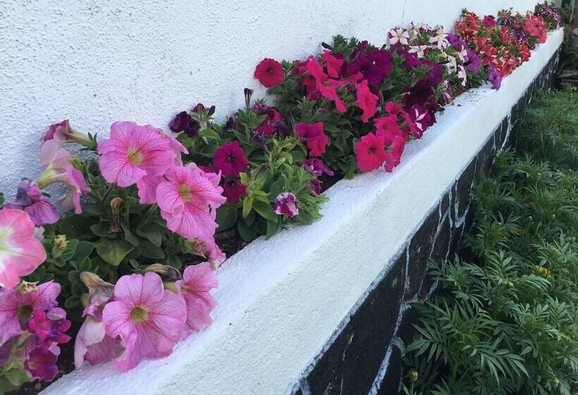 Пансион New Royal Mount