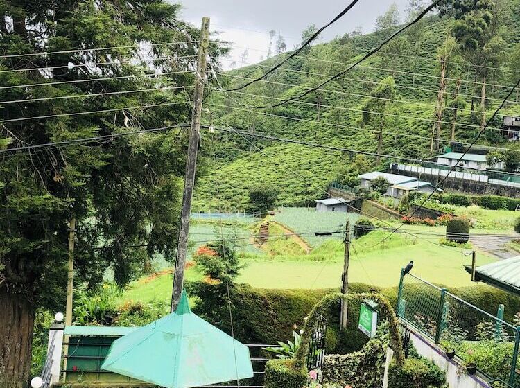 Пансион New Royal Mount