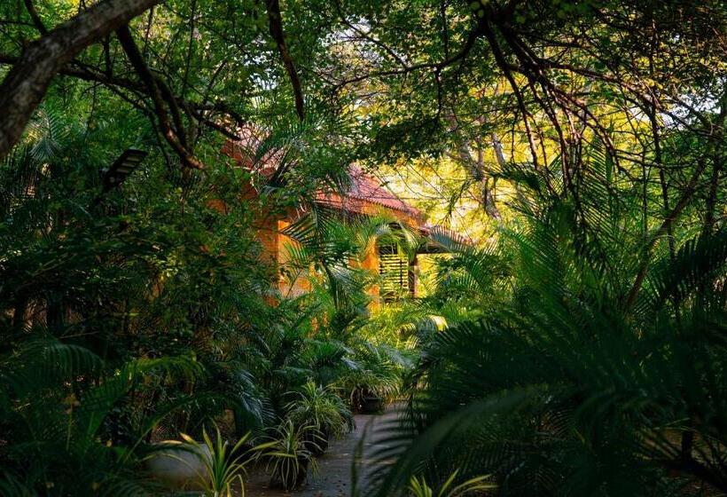 ペンション Safari Lodge Yala