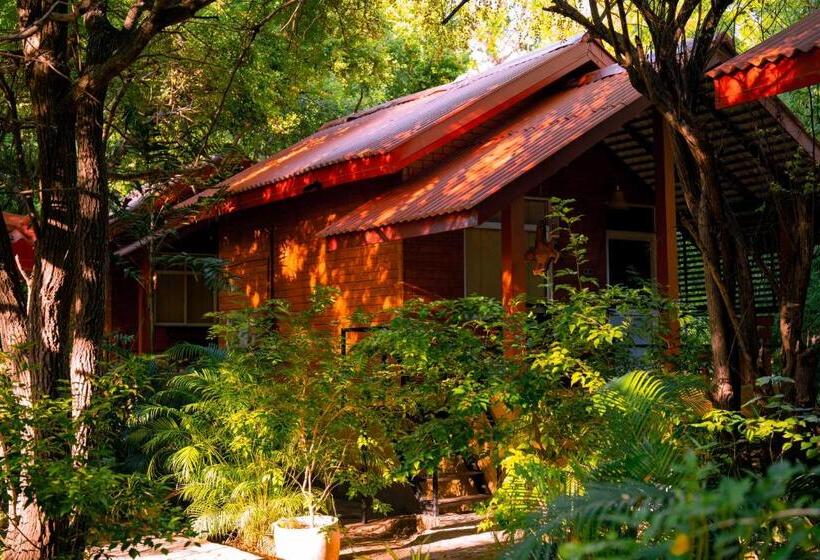 ペンション Safari Lodge Yala