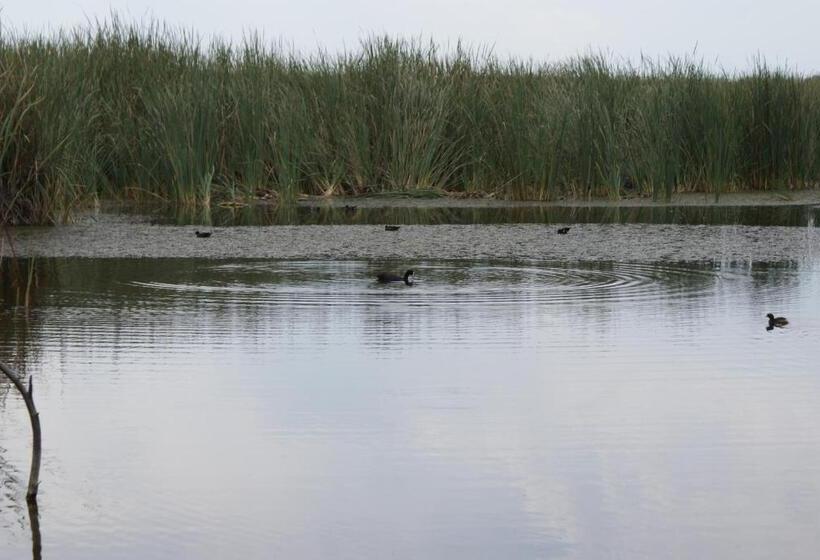 بنسيون Seldre Guest House