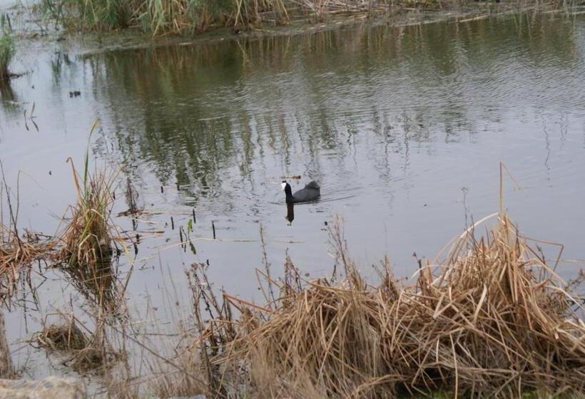 פנסיון Seldre Guest House