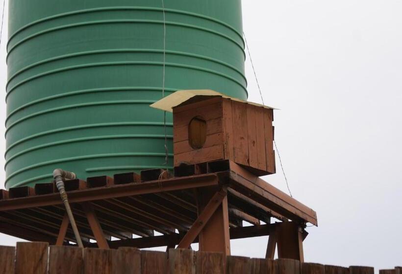 פנסיון Seldre Guest House