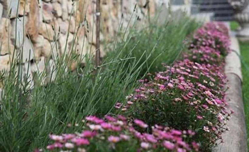 פנסיון Stone Olive