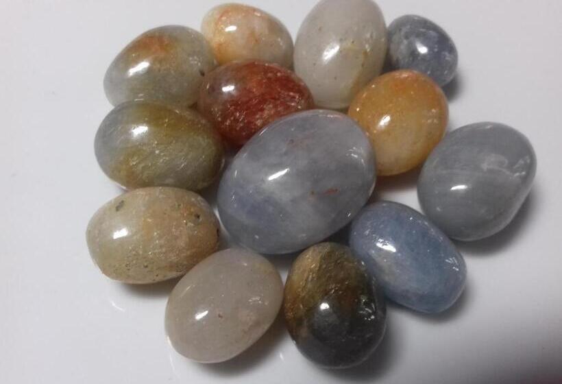 Пансион Thisal Guest House