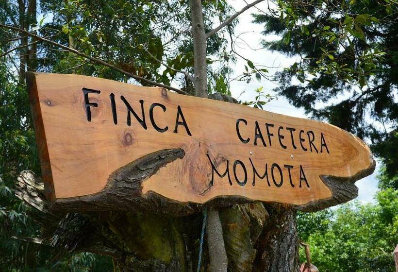 فندق صغير Finca Momota Salento