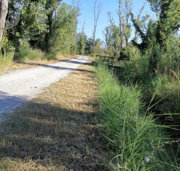 مبيت وإفطار La Bertinora