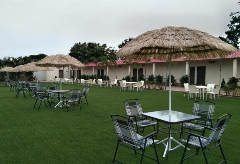 Focus Club And Resort