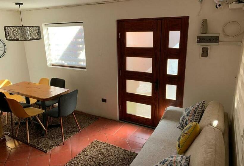 Hostel Hostal Palmed