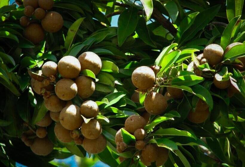 호텔 Chalobahills Farmstay Resort