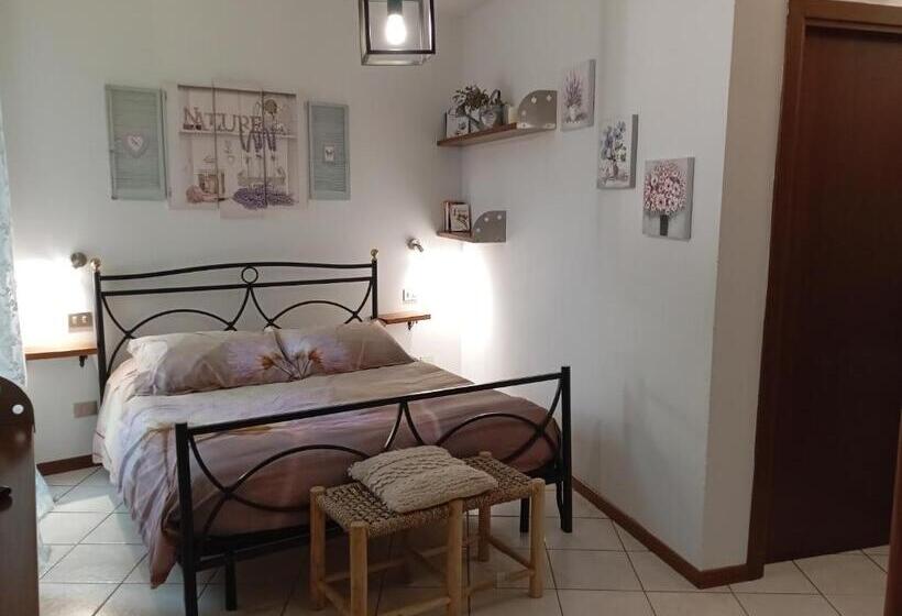 膳宿费 Casa Valletta