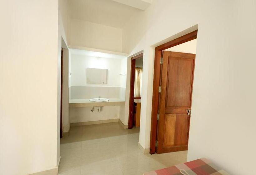 ペンション Daffodil Rooms   Non Ac