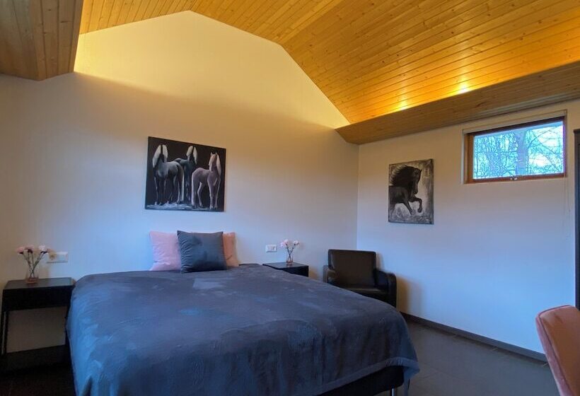 پانسیون Laugavellir Tower Suite