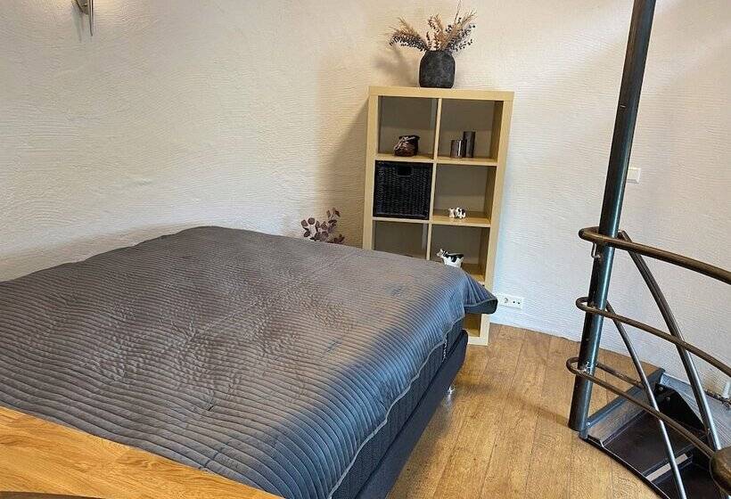 پانسیون Laugavellir Tower Suite