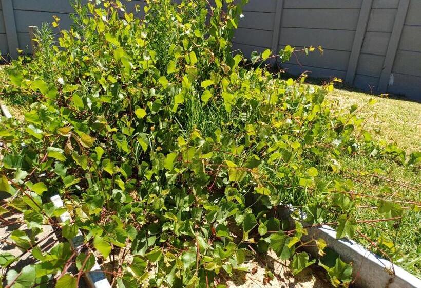 بنسيون Ojong S Guesthouse Kraaifontein   Eikendel