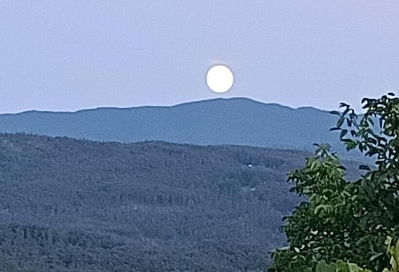 צימר Compiano Bb Strela 39