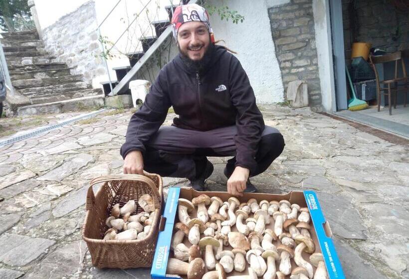 צימר Compiano Bb Strela 39