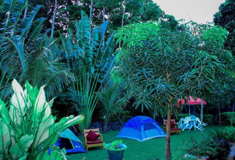 住宿加早餐 Kindo Kicha Farmhouse