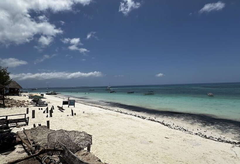 Bed and Breakfast Light Of Zanzibar Hotel & Restaurant