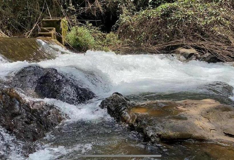 فندق Doves Danta Resort, Coorg