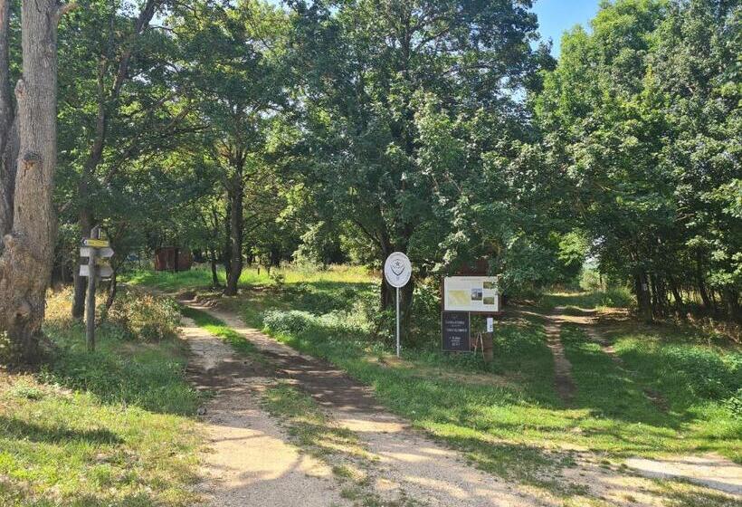 ホテル Eco Ribellium