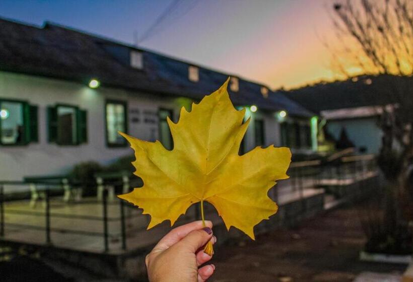 בית מלון כפרי Parque