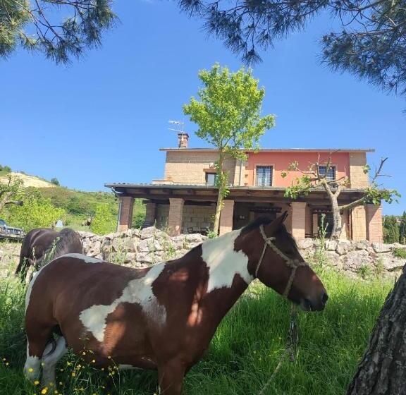 ホテル Tenuta Vittoria