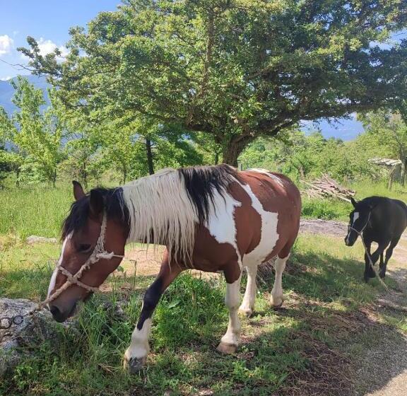 ホテル Tenuta Vittoria