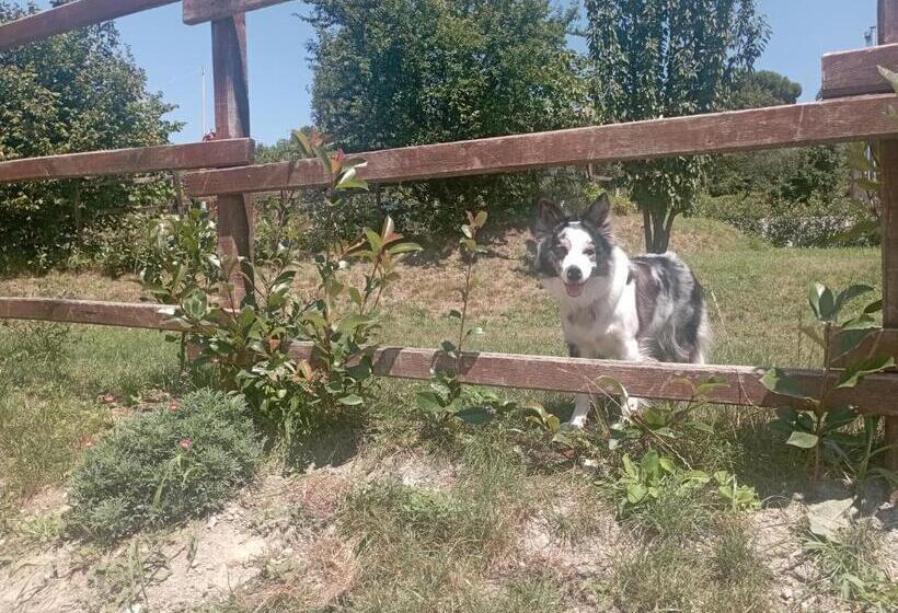 La Tana Della Volpetta   Bed & Breakfast