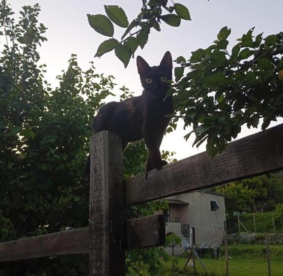 La Tana Della Volpetta   Bed & Breakfast