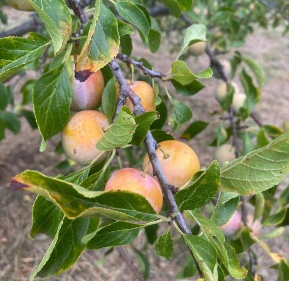 مبيت وإفطار Château Le Perchoir