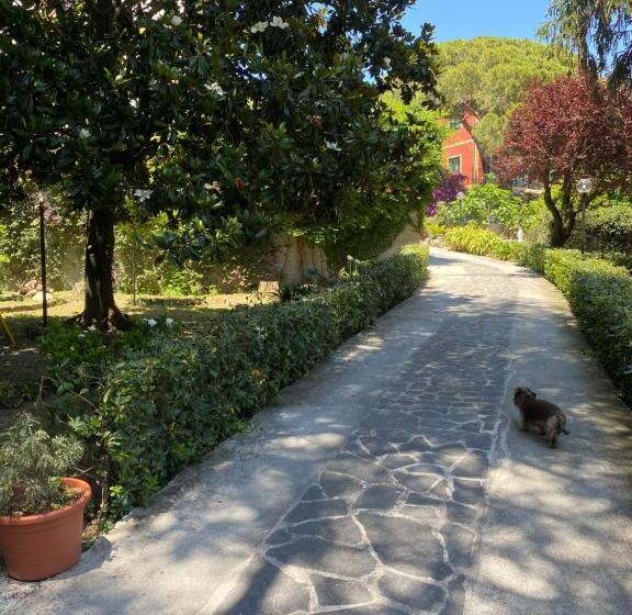 تختخواب و صبحانه Le Magnolie