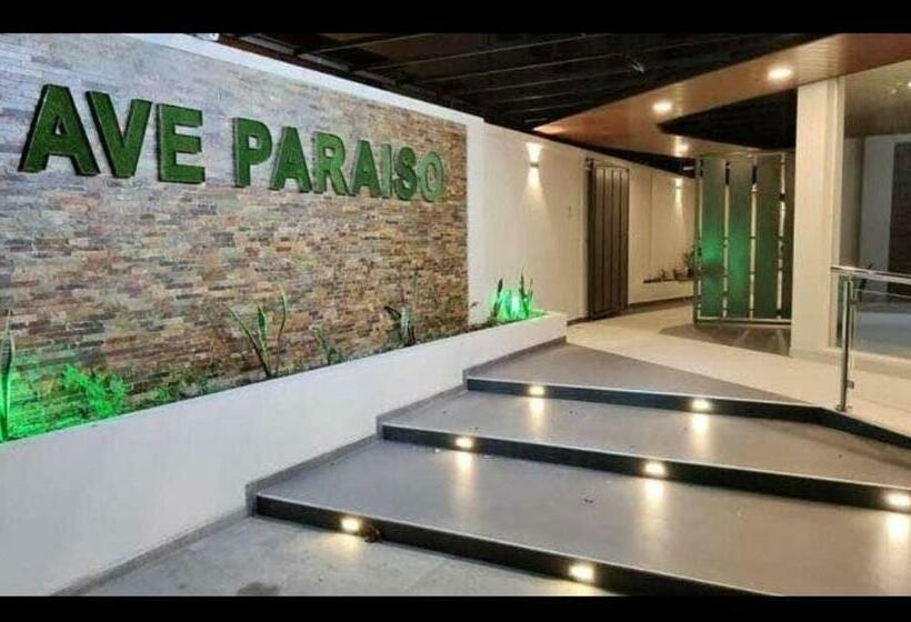 هتل کپسول Loft Studio En El Prado Piso 5