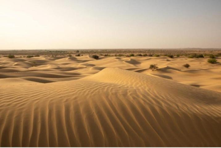 ホテル Desert Yatra Resort