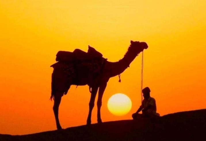 ホテル Desert Yatra Resort