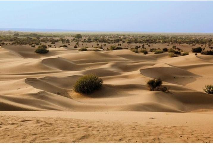 ホテル Desert Yatra Resort