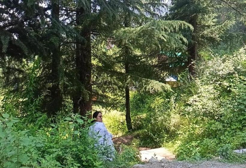 فندق Royal Galaxy Tirthan