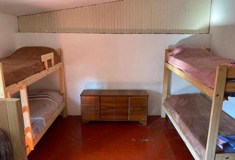 بنسيون Alojamiento Hostel Lodeolga La Florida