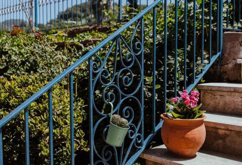 Пансион Lemon Tree Rooms