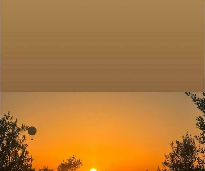 هاستل Petra Hill