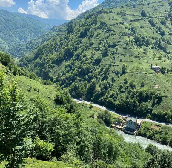 민박 Notena Suit Otel