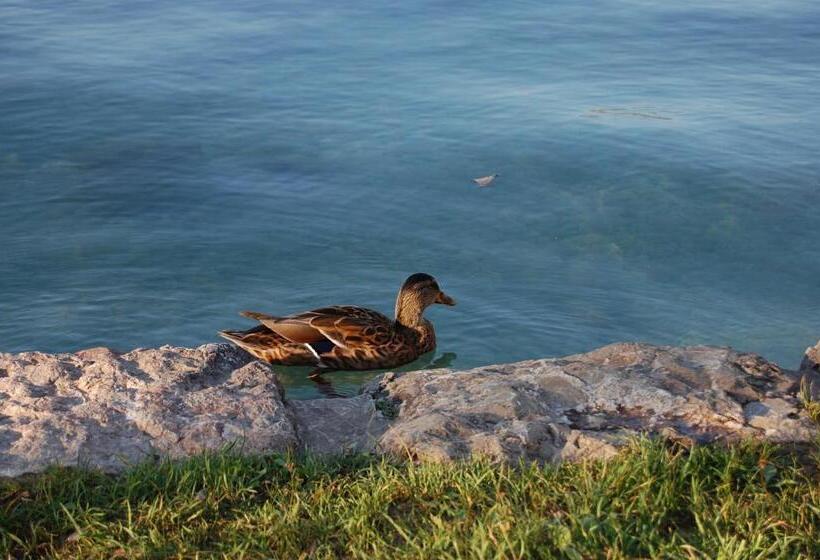 پانسیون Penzion Mimi