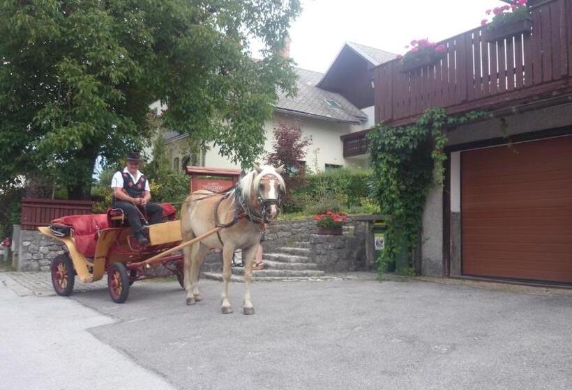 پانسیون Penzion Mimi