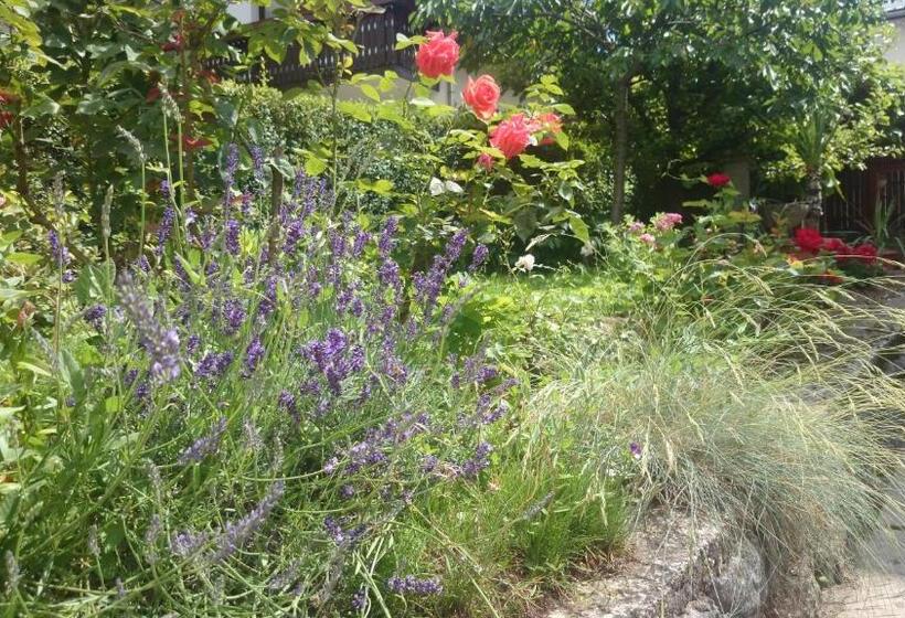 پانسیون Penzion Mimi