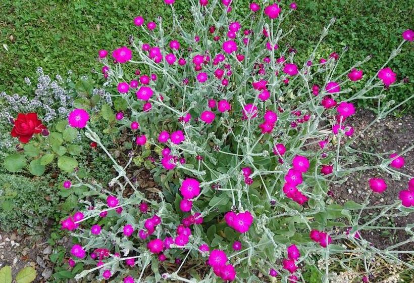 پانسیون Penzion Mimi